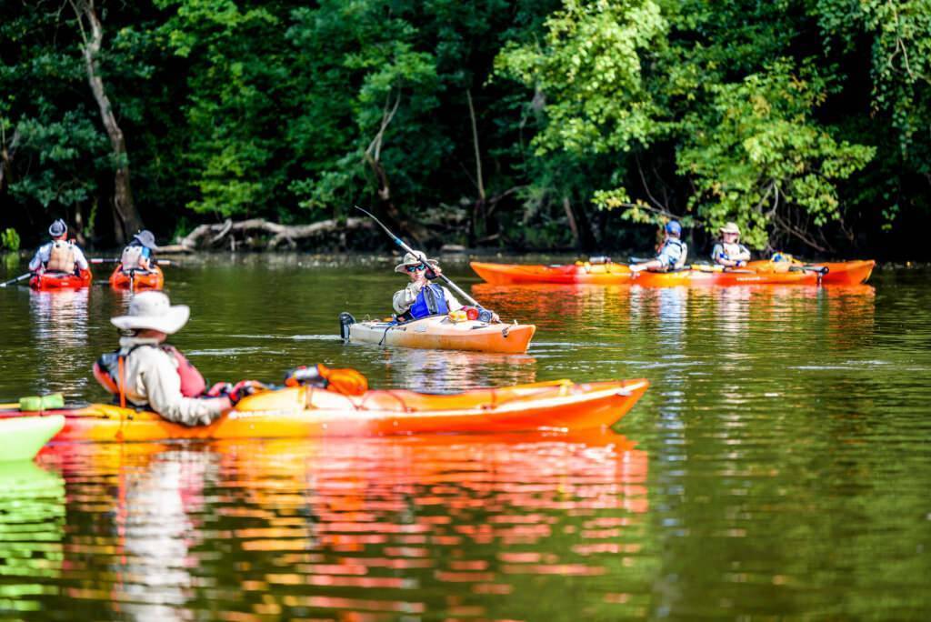 The Kayaking Tar River beautiful view of river floating boats and surrounded with trees
