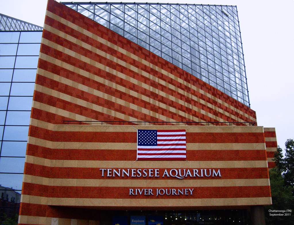 The flag is placed on the building of Tennessee Aquarium is looking attractive in day light or under the sky