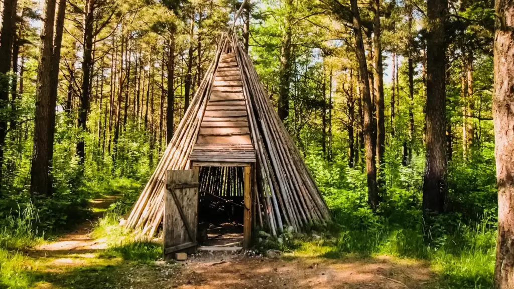 A tipi made with wooden boards inside the European forest, shelter for the night.