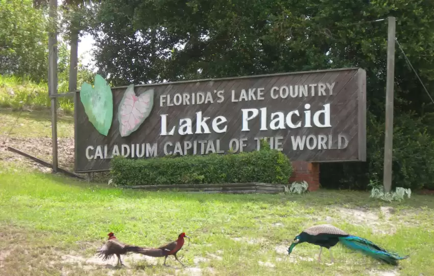 Best Things to do in Lake Placid Florida in 2023