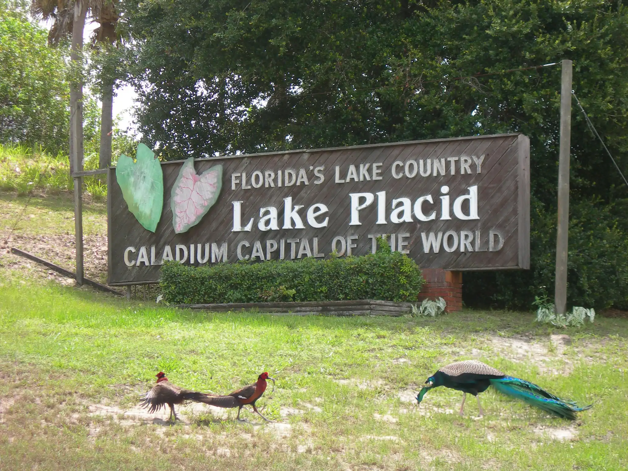 Best Things to do in Lake Placid Florida in 2023