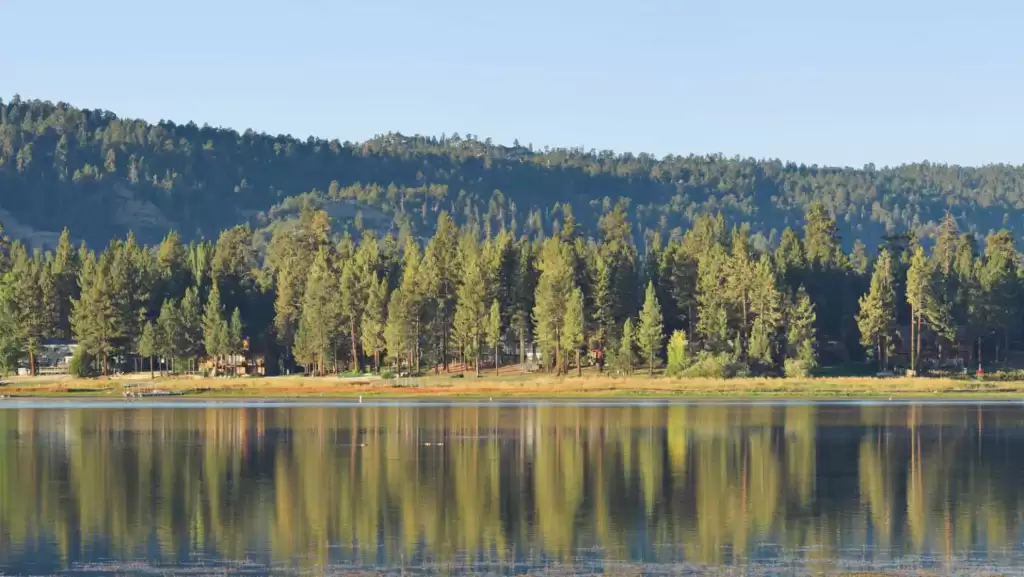 Big Bear Lake, surrounded by lush trees and majestic mountains under a clear blue sky.