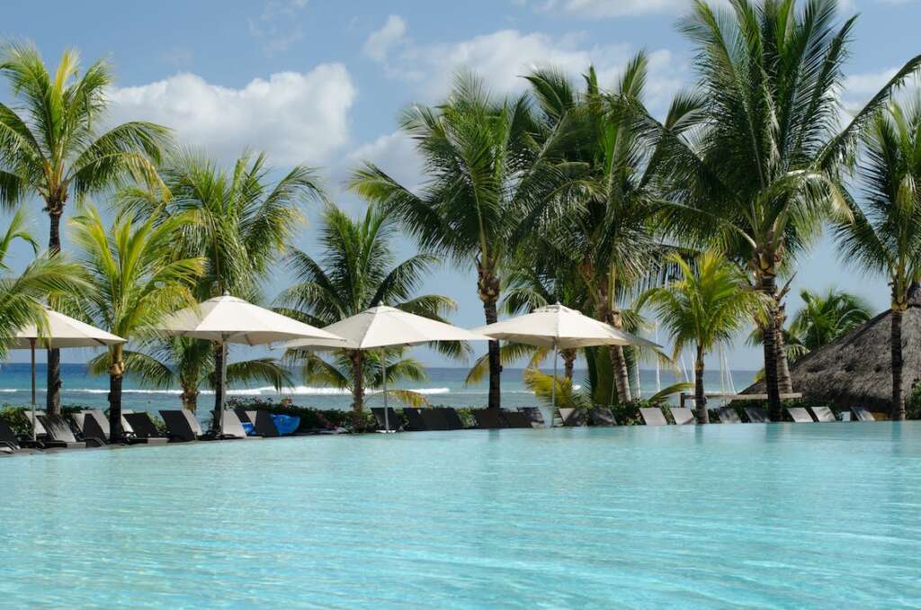 a blue water pool with the palm trees, 