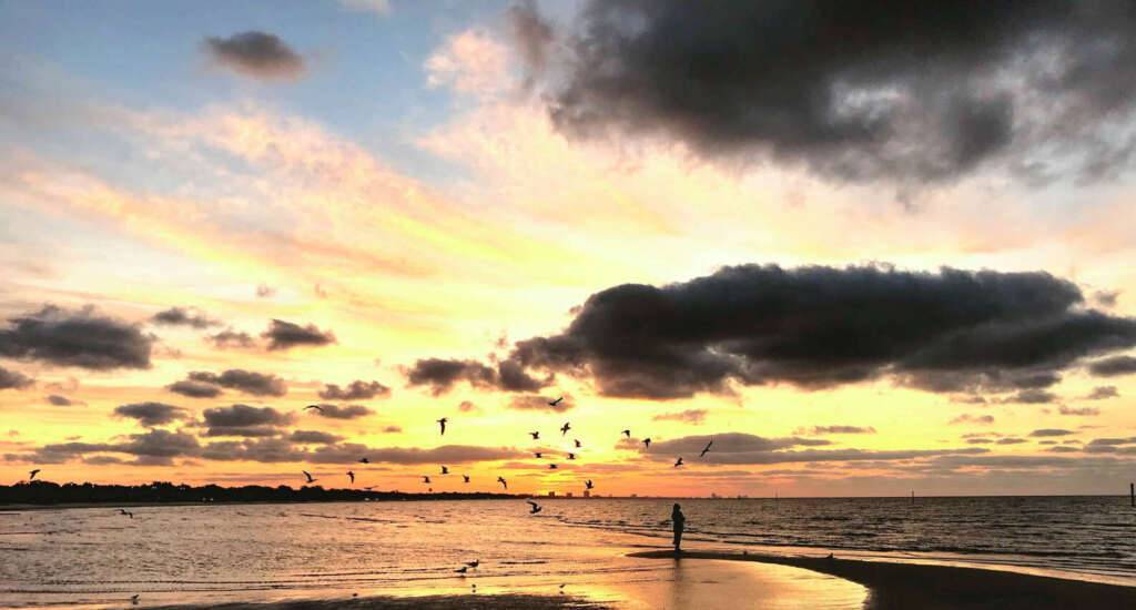 beach near new orleans louisiana