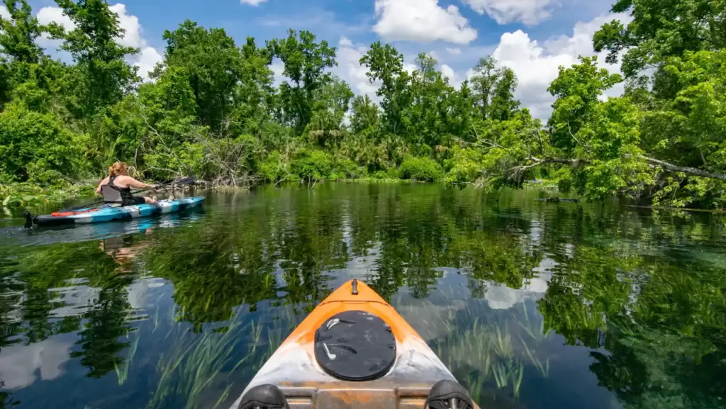 National Forest park of Ocala is surrounded with trees, flowers and greenery