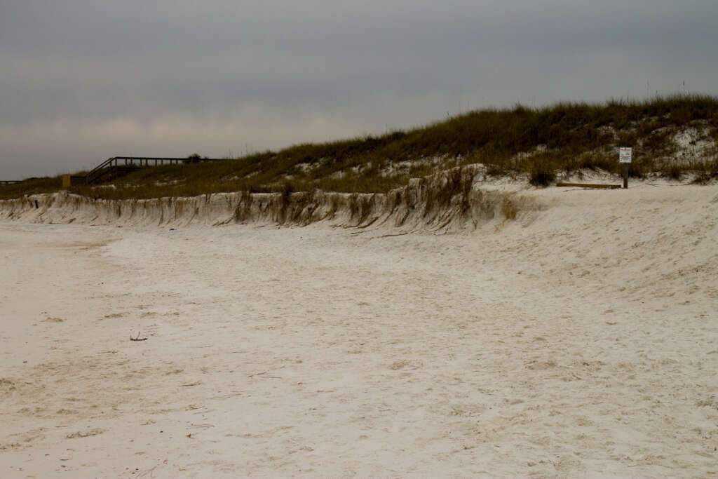 The St Andrew State park is consist of sand and grass or looks more attravtibe under the sky