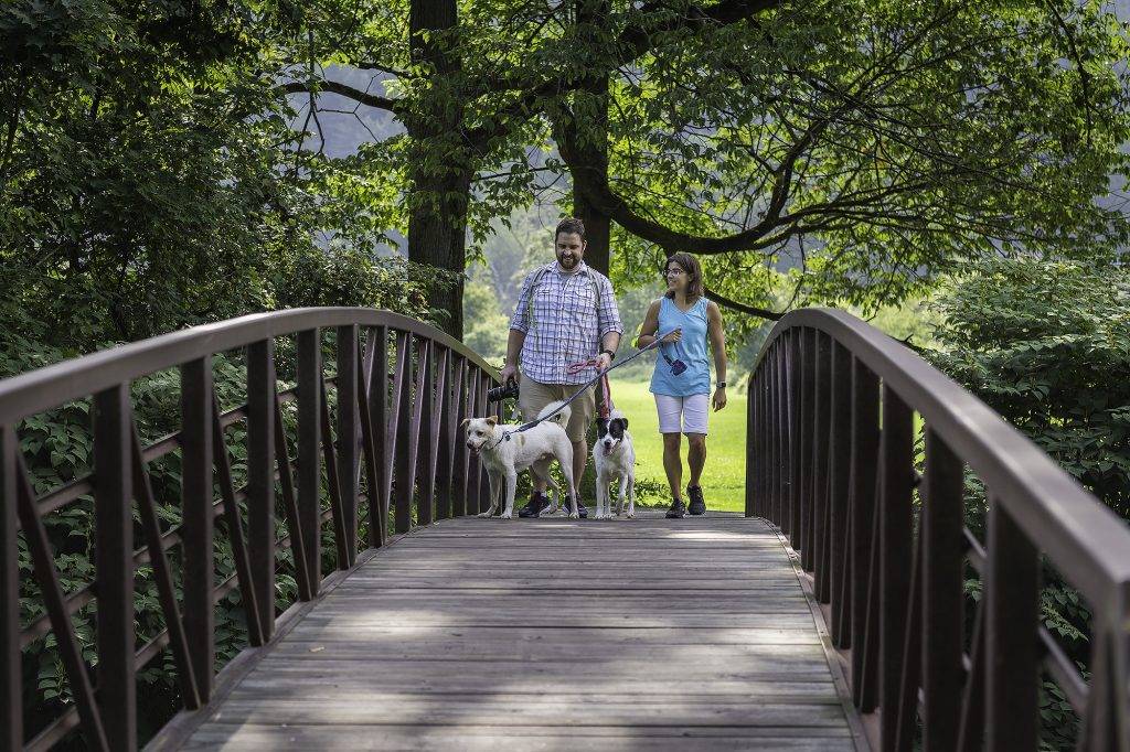 The Place of Stowe Recreation Path is the place for tourists in Stowe Vermont and looking beautiful with surrounded trees