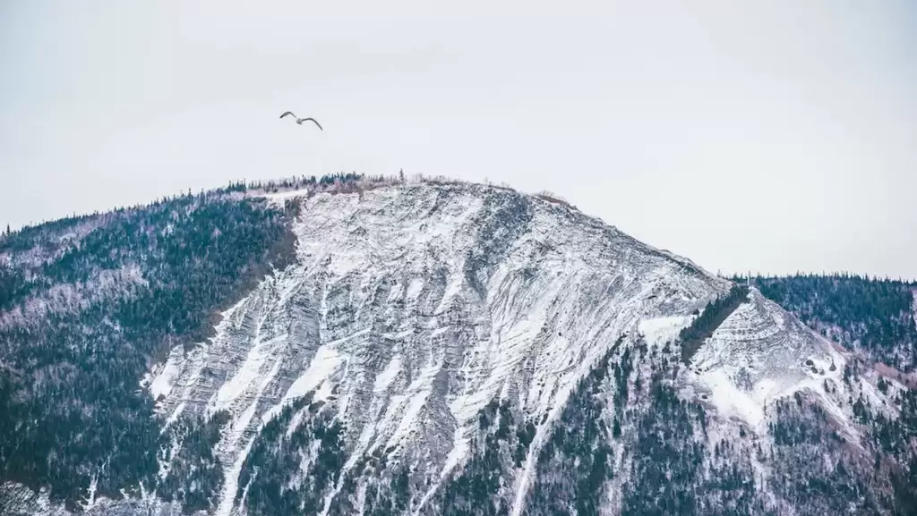 The Canon Mountain is an Amazing Mountain of new england, it is a big Mountaing for sking and snowboarding. People like it very much.