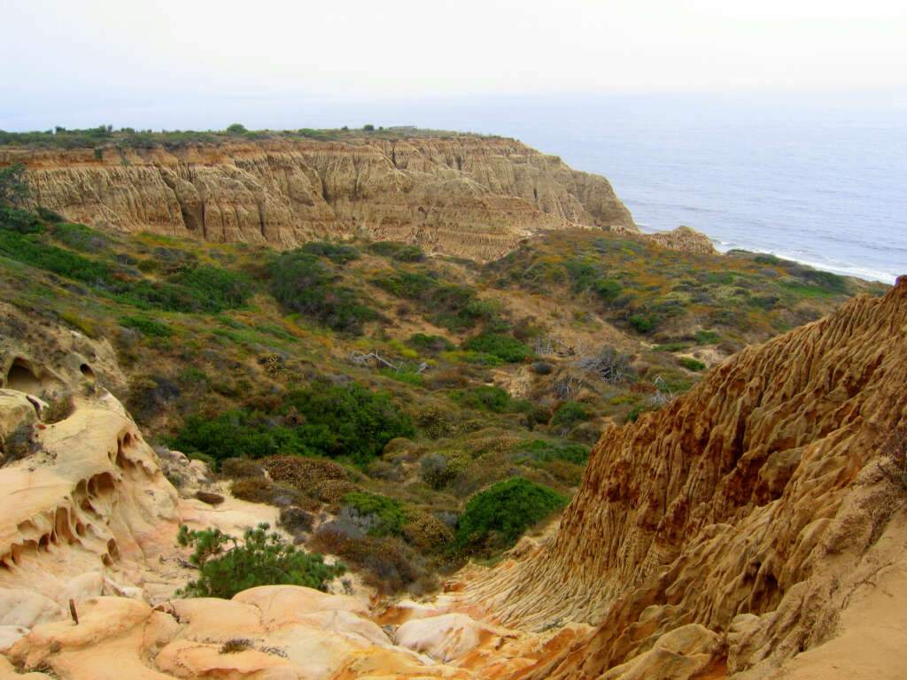 Torrey pines state park is very crowded place. As we seen it is the time of evening . The sun is lay down. A lot of people enjoy here.